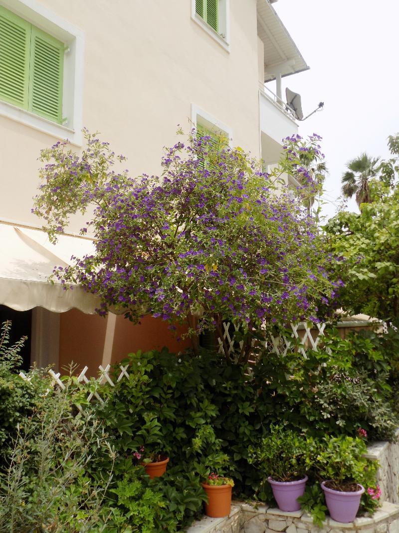 Nydri Blue Hotel Exterior foto